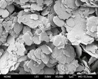 Nano Flake Nickel Powder