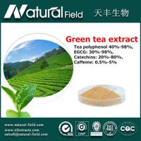 ISO& HACCP China manufacturer Green tea extract powder