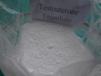 Testosterone Enanthate for Muscle Building