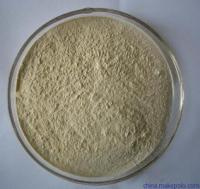Hydroxycitric acid 50%,60% Garcinia Cambogia Extract